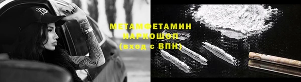 прущие грибы Бородино