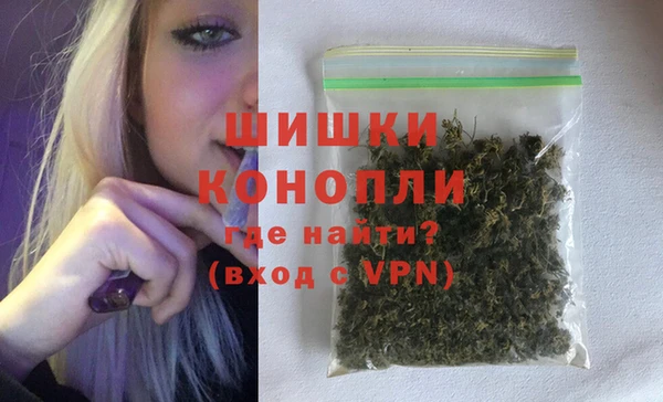 молекула духа Богородск