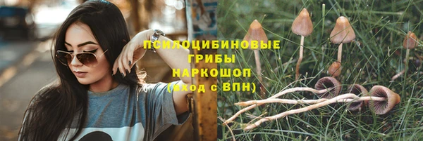 молекула духа Богородск