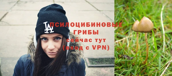 PSILOCYBIN Струнино
