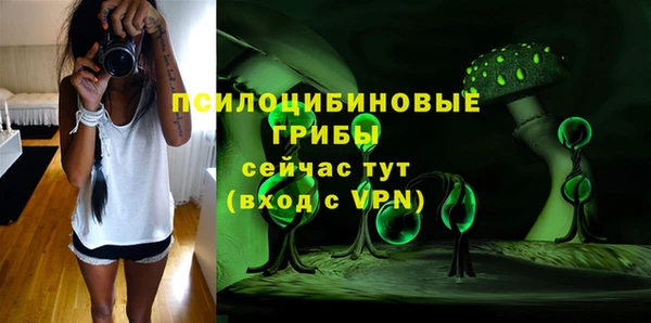 молекула духа Богородск