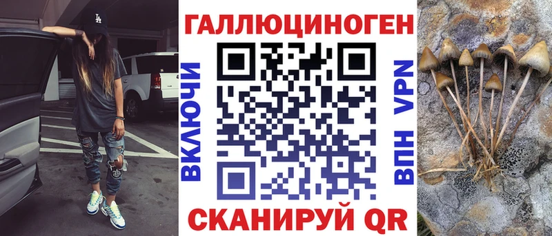 Галлюциногенные грибы Psilocybine cubensis закладка Ясный